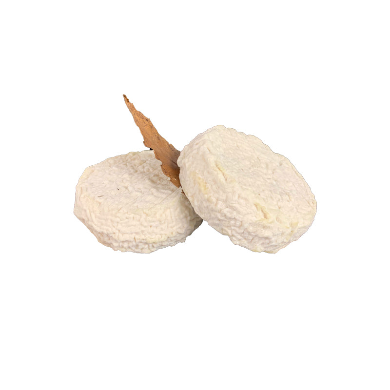 Mothais Sur Feuille