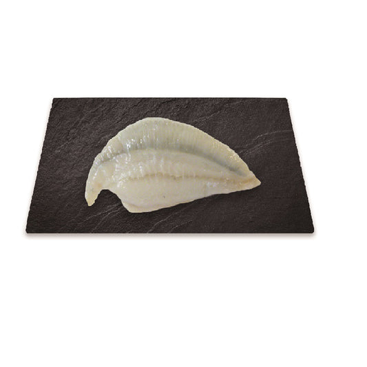 Frozen Farmed Turbot Fillet 150/350 Qwehli 1kg