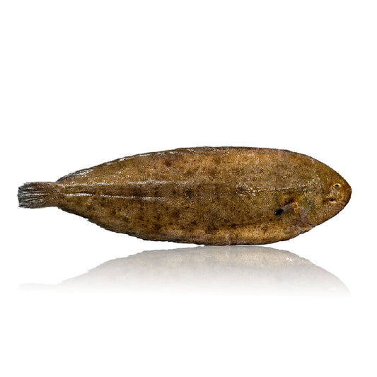 Frozen Dover Sole Qwehli approx 700g Vacpack w/1 unit