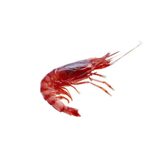 Frozen IQF Shrimp Camaron Rojo