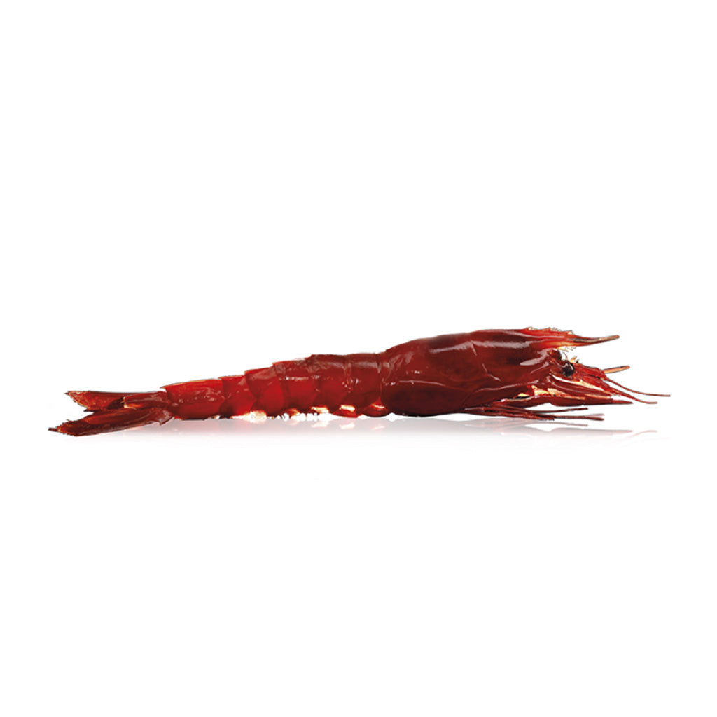 Frozen Carabineros 3XL Qwehli Box w/8-10pcs 1kg