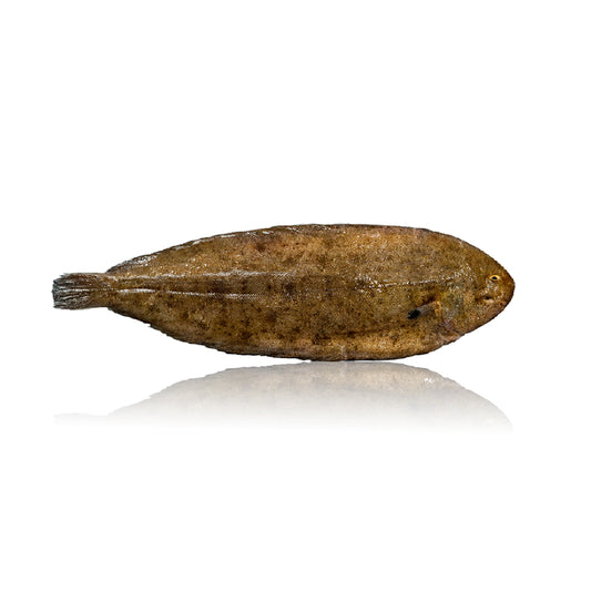 Frozen Dover Sole Qwehli approx.500g VacPack w/ 2 units